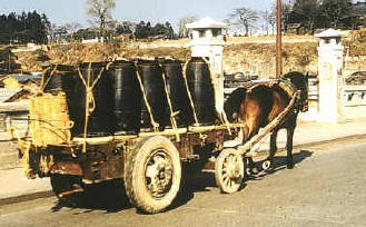 horses, cows, oxen and people pulled honey bucket wagons