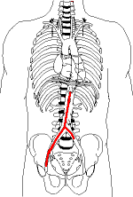 Aneurysm location